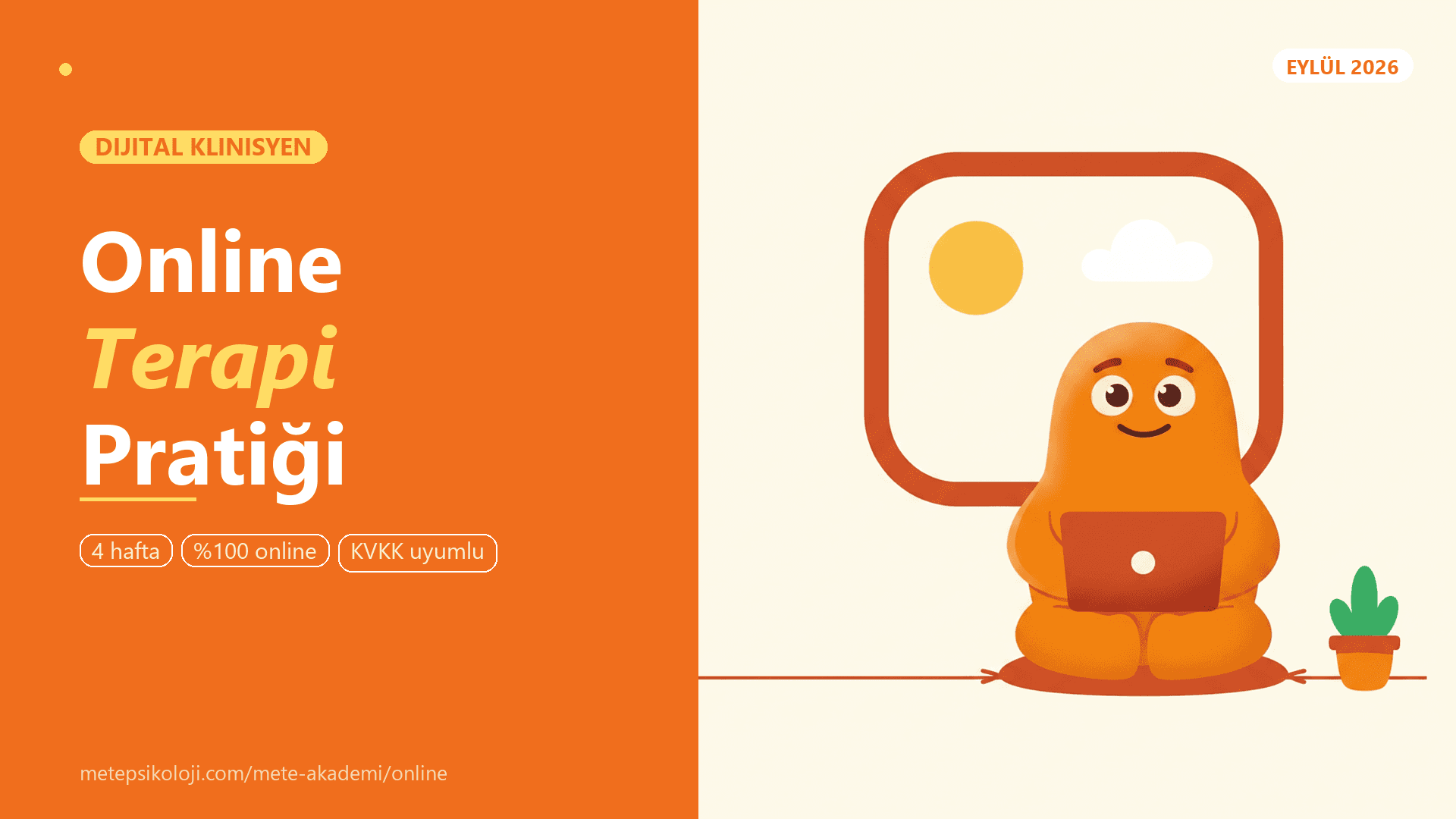 Online Terapi Pratiği