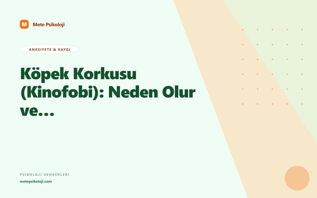 Köpek Korkusu (Kinofobi): Neden Olur ve Tedavisi